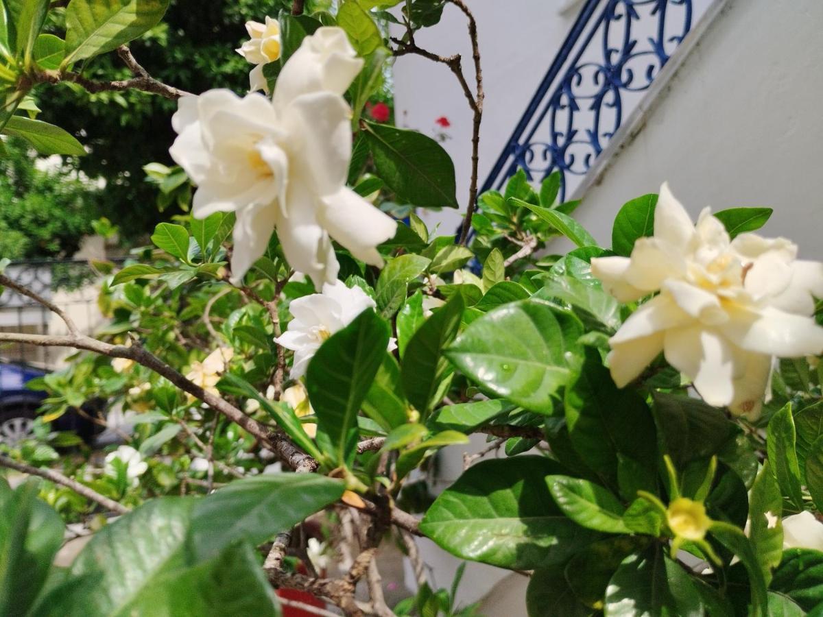 Η Ελπίδα Και Η Γιάννα Ξεκίνησαν Ένα Χώρο Cute Apartment Volos Exterior photo