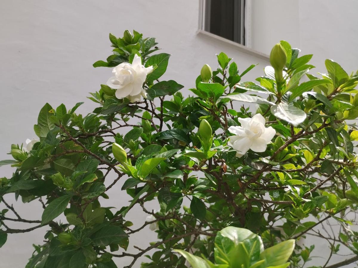 Η Ελπίδα Και Η Γιάννα Ξεκίνησαν Ένα Χώρο Cute Apartment Volos Exterior photo